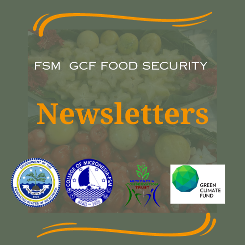 newsletter