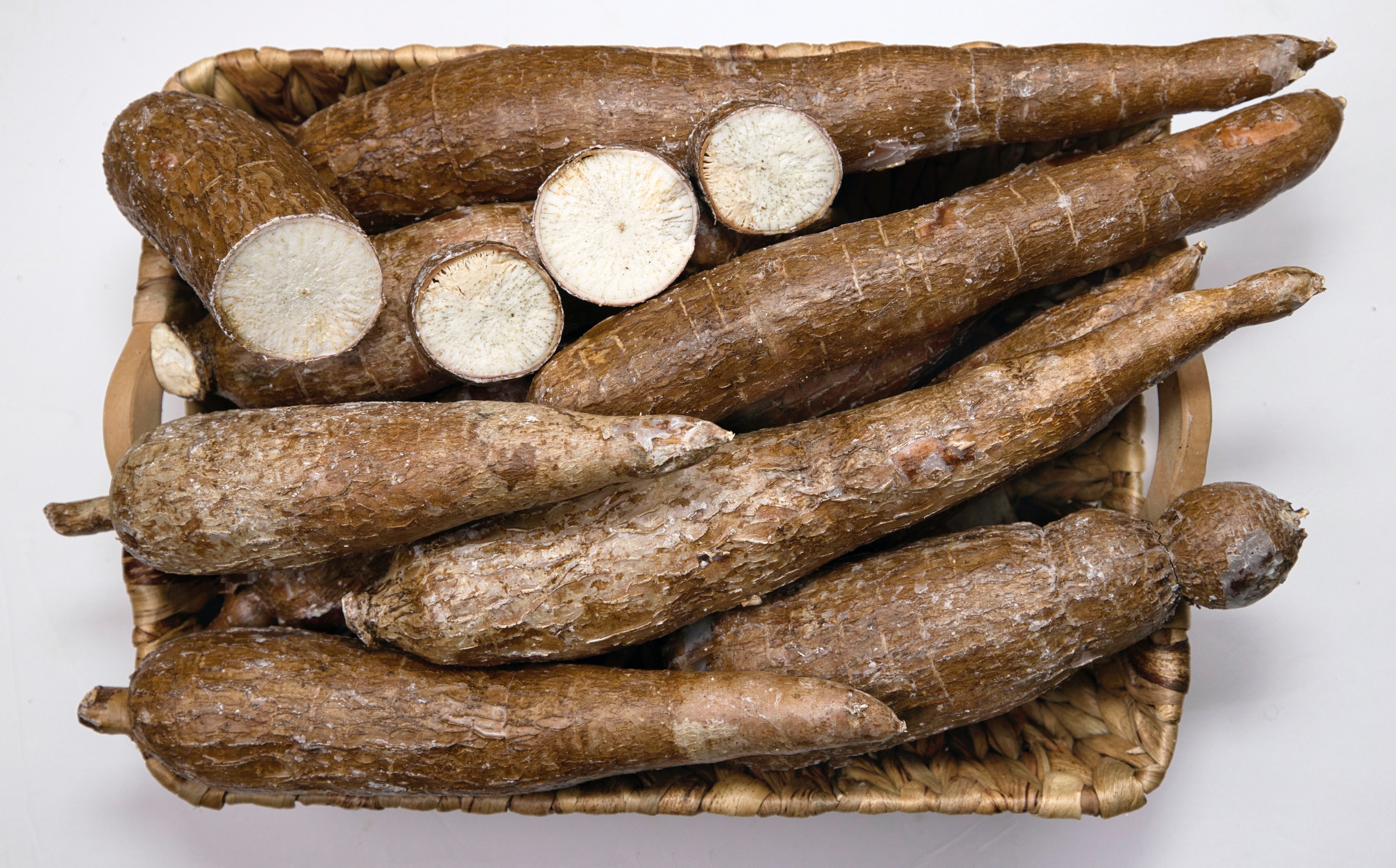 cassava