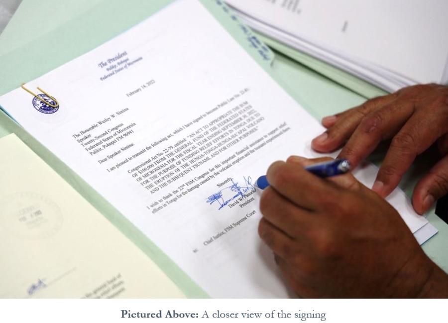 FSM Information Services